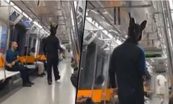 Metroda elinde tüfekle gezen tavşan kostümlü şüpheli: Maskeli partiden çıktım