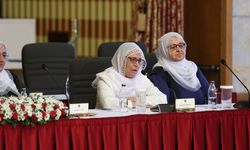 Meclis komisyonunda Kürtçe tartışması; Sırrı Sakık’tan tepki