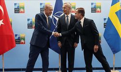 İsveçli diplomat, Türkiye notlarını tuvalette unuttu!