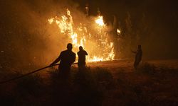 Bolu, İzmir ve Çanakkale’deki yangınlar kontrol altına alındı
