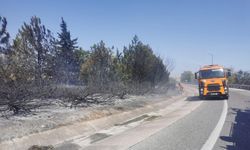 Kırklareli'nde yangın: Avrupa Otoyolu ve D-100 kara yolu trafiğe kapatıldı