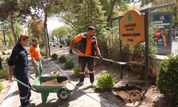 Çankaya’daki Bahriye Üçok Parkı baştan sona yenilendi