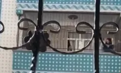 Şanlıurfa'da kadına şiddet: Balkonda tekme-tokat dövdü