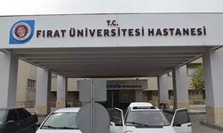 Tabancasını temizlerken kendini vurdu