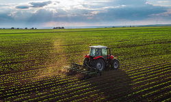 Tarımda fiyat artışı sürüyor: ÜFE’de yıllık artış yüzde 40’ı aştı