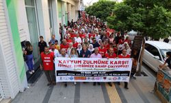 Van’da kayyımın işten çıkardığı 223 işçi, işe iade talebiyle yürüdü