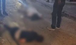 Ordu'da 2 genç yol ortasında ölü bulundu