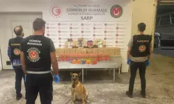 Ticaret Bakanlığı: 310 kilo esrar ile 291 kilo kokain ele geçirildi
