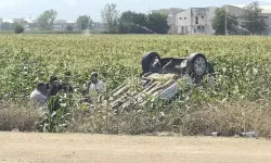 Takla atıp mısır tarlasına uçan hafif ticari aracın sürücüsü yaralandı
