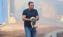Alevlerin arasına girip kediyi kurtardı