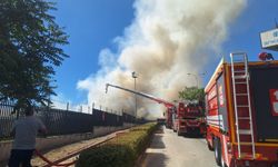 Ankara'da atık depolama tesisinde yangın