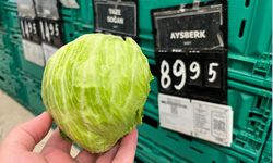 Bir avuç aysberg fiyatıyla cep yakıyor: 90 TL
