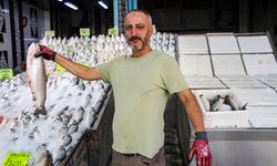 Av yasağı sona erdi balık fiyatları yarı yarıya düştü