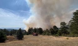 Bursa’da orman yangını; havadan ve karadan müdahale ediliyor