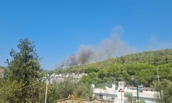 Bodrum'da orman yangını: Ekiplerin müdahalesi sürüyor