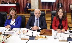 Komisyon ekimde ara rapor açıklayacak: İmralı’ya heyet gidecek mi?