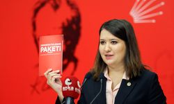 CHP'li Gökçen: Toplumsal barış ancak samimiyetle mümkündür