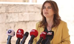 DEM Parti'li Koçyiğit: Komisyonun yasaları da konuşması gerekiyor