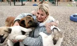 Hasta köpeklerin Ankara'ya taşınması davasında sanıklara 43 bin 500'er lira para cezası