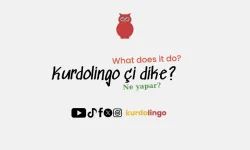 Kürtçe eğitim platformu ‘Kurdolingo’ yayında