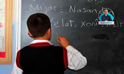 MEB verileri paylaştı: Geçen yıl kaç öğrenci Kürtçe dersi aldı?