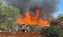 Manisa'da palet fabrikasında yangın