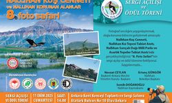 Nallıhan Kuş Cenneti’nde Foto Safari heyecanı başlıyor