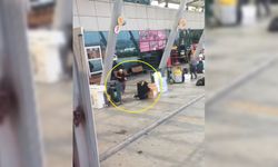 Otogarda bir baba kızını tüfekle vurdu