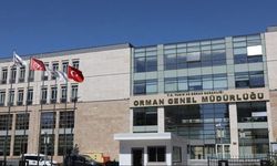 Orman Genel Müdürlüğü 262 daimi işçi alacak