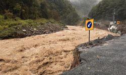 Rize’de sağanak: Derelerin suyu yükseldi, heyelanlar yaşandı