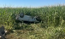 Şanlıurfa'da otomobil, tarlaya devrildi; 1 ölü, 1 yaralı