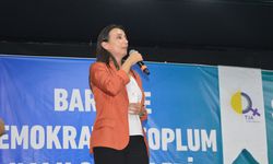 Tülay Hatimoğulları: Öcalan ile acil görüşülmeli