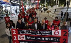 Van’da kayyımın işten çıkardığı işçiler: ‘İşçi kıyımı, sürece yönelik sabotajdır’