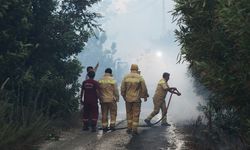 Bakan Yumaklı'dan 3 ilde devam eden orman yangınına ilişkin açıklama