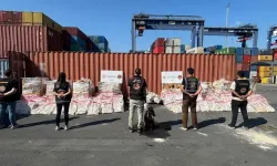 Konteynerde 1,7 ton fosil ununa emdirilmiş kokain ele geçirildi