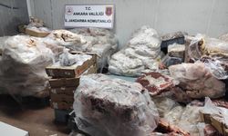 Ankara'da 3 iş yerinde 17 ton bozuk et ele geçirildi