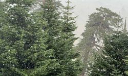 Bolu'nun yüksek kesimlerine kar yağdı