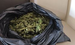Bursa'da güvercin kümesine gizlenmiş uyuşturucu ele geçirildi