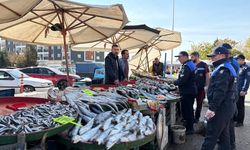 İstanbul'da ortalama balık fiyatları belli oldu
