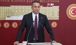 Cumhurbaşkanı Erdoğan tazminat davası açmıştı! Ali Mahir'den ilk açıklama geldi