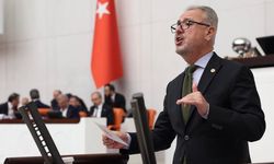 Sokak çeteleri, sosyal çöküşün göstergesi olarak Meclis gündeminde