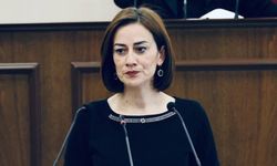 Doğuş Derya kimdir? | Cumhuriyetçi Türk Partisi milletvekili Doğuş Derya kimdir?