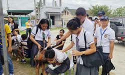 Filipinler'de meydana gelen depremlerde 7 kişi hayatını kaybetti