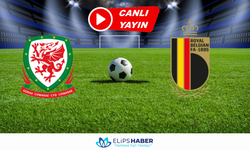 Selcuksport HD | Galler - Belçika maçı canlı izle