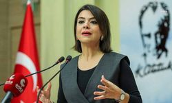 CHP'li Taşcıer: Sayıştay raporları işlevini yitirmiş