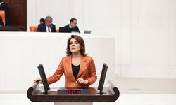 CHP’li Gülcan Kış’tan Merkez Bankası ve hükümete sert eleştiri