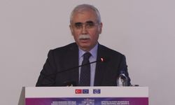 AYM Başkanı Özkaya: 2012'den bu yana 81 bin 481 ihlal kararı verildi