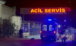 Fabrikada gazdan etkilenen 32 işçi hastaneye kaldırıldı