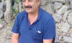 Kayseri’de üzerine tomruk düşen işçi öldü