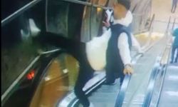 Yaya üst geçidinin korkuluklarına tekme ve yumruklu saldırı